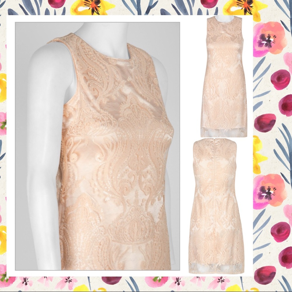 Taylor Crew Neck Sleeveless Sequin Mesh Dress